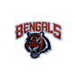 Cincinnati Bengals Embroidered Iron on Patches