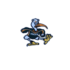 University of Miami Embroidered Iron on Patches