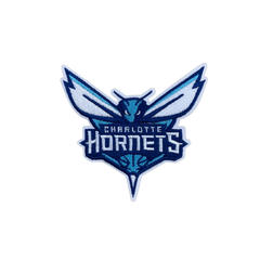 Charlotte Hornets Embroidered Iron on Patch