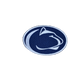 Penn State Nittany Lions Embroidered Iron On Patches