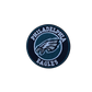 Philadelphia Eagles Embroidered Iron on Patches