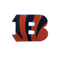 Cincinnati Bengals Embroidered Iron on Patches